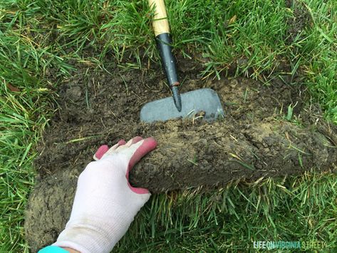 Removing Sod, How To Remove Grass, Drainage Solutions Landscaping, Front Flower Beds, Life On Virginia Street, Best Garden Tools, Bermuda Grass, Raised Flower Beds, Garden Flower Beds