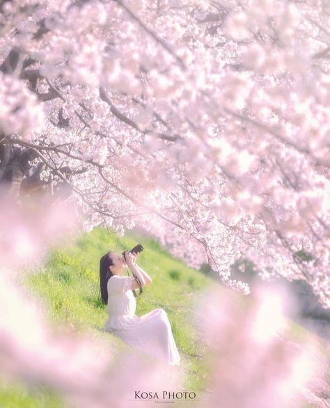 Photoshoot With Cherry Blossoms, Sakura Photography, Maternity Photo Shoot Ideas Cherry Blossom, Cherry Blossom Film Photography, Spring Cherry Blossoms Photography, Dreamy Photography, Spring Photos, Fantasy Places, Human Figure