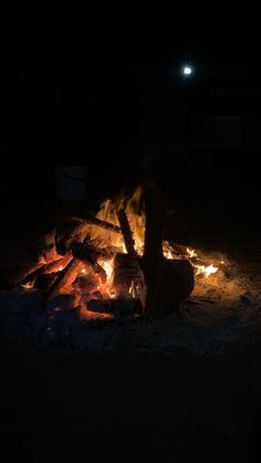 Born Fire, Fire Night, Night Snap