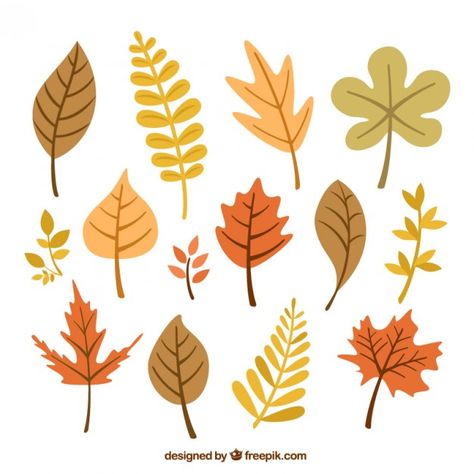 Autumnal leaves collection Art Leaves, Penanda Buku, Autumn Tree, Leaf Drawing, Trendy Tree, Tree Illustration, Tree Drawing, Bullet Journal Doodles, Plant Illustration