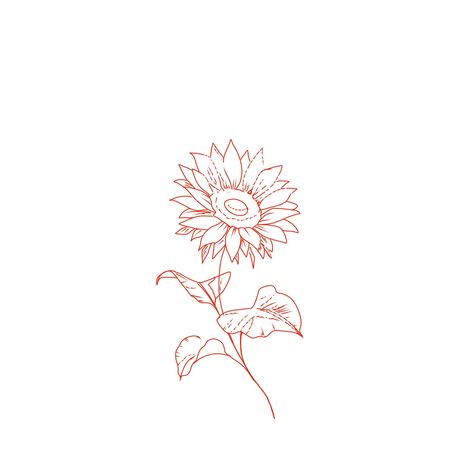 Sunflower Line Drawing Tattoo, Sunflower Line Tattoo Simple, Lion Fire Tattoo, Outline Sunflower Tattoo, Small Sunflower Drawing, Sunflower Outline Drawing Simple, Sunflower Stamp Tattoo, Sunflower Stencil Tattoo, Big Sunflower Tattoo