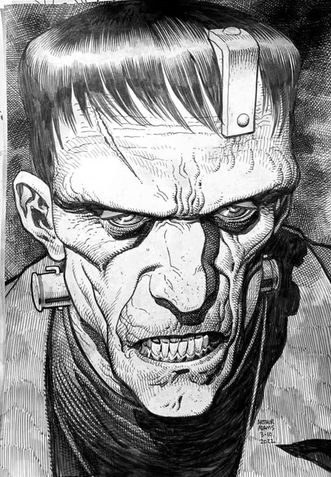 Frankenstein Illustration, Universal Monsters Art, Arthur Adams, Frankenstein Art, Creepy Drawings, Arte Grunge, Comic Book Art Style, Desenho Tattoo, Classic Monsters