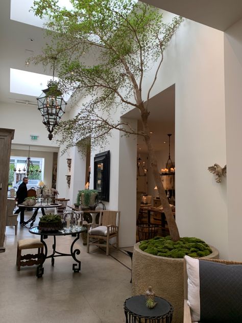 Huge Indoor Plants, Indoor Arboretum, Tree In Foyer, Tall House Plants, Indoor Olive Tree, Rustic Glam Decor, Antique Homes, Hotel Foyer, Landscaping With Fountains