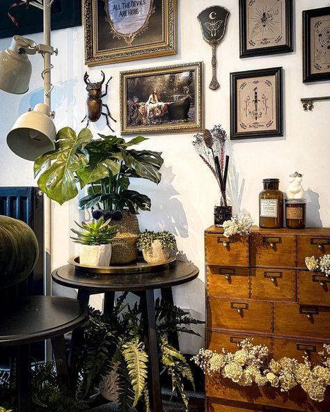 Light Goth Living Room, Botanical Goth Home, Green Witch House Decor, Apothecary Decor Living Room, Botanical Gothic Decor, Goth Cottage Core Home Decor, Green Academia Room, Light Academia Home Decor, Light Green Bedroom Aesthetic