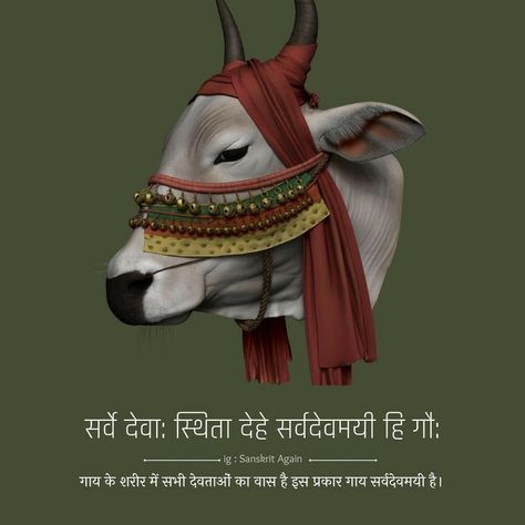 Cow Quotes Hindi, Sanskrit Quotes With Meaning In Hindi, Hindu Dharma Quotes In Hindi, Gopashtami Wishes, Hindu Mantras In Hindi, Sanatan Quotes, Cows Quotes, Datta Guru, Aham Brahmasmi