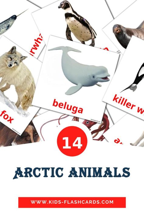 North Pole Animals Crafts For Kids, Arctic Animals Preschool Activities Free Printables, Attic Animals, Arctic Animals Printables, Arctic Animals Preschool Activities, Flashcards Free Printable, North Pole Animals, Arctic Exploration, Arctic Animals Preschool