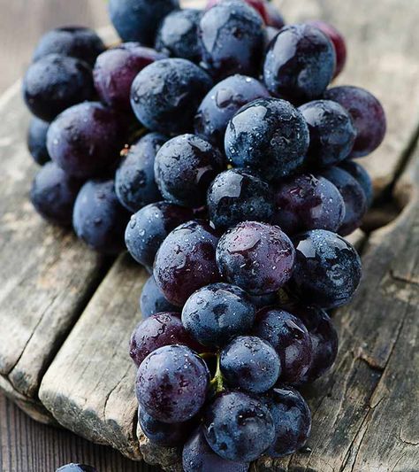 9 Powerful Reasons You Must Eat Black Grapes Organic Food Photography, Castor Oil For Eyes, Carb Substitutes, Carb Alternatives, High Carb Foods, Ayurvedic Remedies, Black Grapes, Growing Grapes, Beautiful Fruits