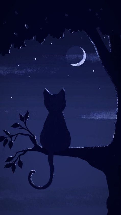 Wallpaper Gatos, Chat Background, Moon And Stars Wallpaper, Cat Phone Wallpaper, Pastel Sec, Night Sky Wallpaper, Image Chat, Wallpaper Nature Flowers, Like Comment Share