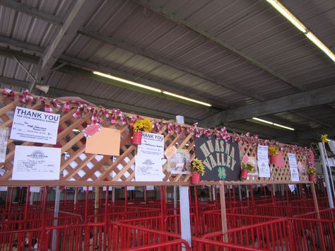 stall decorations Blue Jeans And Country Dreams Fair, Goat Pen Decorations Fair, Fair Stall Decorations Ideas, 4h Fair Stall Decorations, Stall Decoration Ideas Fair, Stall Decoration Ideas, County Fair Decorations, Steer Showing, 4h Clover