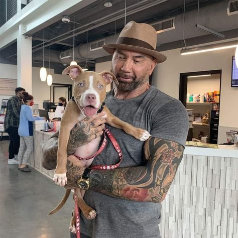 After Seeking Justice for Neglected Dog, Dave Bautista Adopts Rescue Pup and Names Her Penny Puppy Find, Dave Bautista, Pitbull Rescue, Mickey Rourke, Poor Dog, Best Puppies, Up Dog, Pitbull Puppies, Tiny Dogs