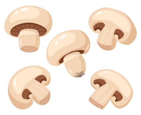 107,400+ Mushroom Stock Illustrations, Royalty-Free Vector Graphics & Clip Art - iStock | Growing mushrooms, Medicinal mushrooms, Mushroom isolated Jamur Kancing, Pizza Cartoon, Mushroom Stock, Bored Games, Cartoon Mushroom, Mushroom Pizza, Mushroom Drawing, Household Planner, Vector Cartoon