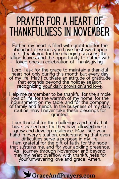 As November brings the reminder to give thanks, let's also seek a transformation within, cultivating a heart of thankfulness through prayer.  This prayer is a pathway to recognizing the everyday blessings that God generously provides, encouraging a deeper appreciation.  Cultivate a spirit of gratitude this November. Read more prayers for a thankful heart at Grace and Prayers. Uplifting Prayers, Prayer For Prosperity, Dinner Prayer, Prayer Of Thanks, Prayer For Love, Prayer For Guidance, Thanksgiving Prayer, Thanksgiving Blessings, Thanksgiving Pictures