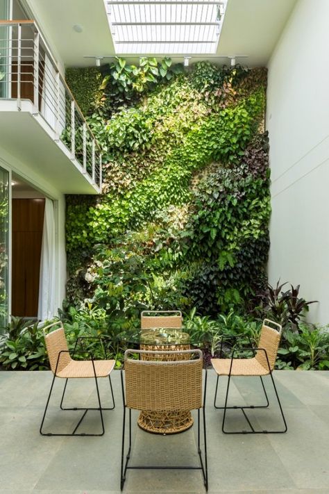 Vertical Green Wall, Small Bathroom Renovations, Garden Solutions, Inner Courtyard, Bay House, Indian Homes, Tropical House, Courtyard House, Open Layout