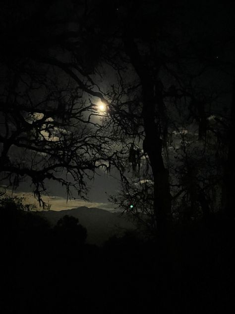 Draingang Aesthetic, Dark Landscape, The Moon Is Beautiful, Dark Nature Aesthetic, Night Scenery, Pretty Photos, Dark Photography, Night Aesthetic, Dark Night