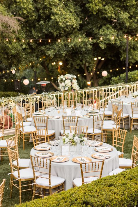 Gold Tiffany Chairs Wedding, Chavaria Chairs Gold, Gold Chairs Wedding Receptions, White And Gold Color Pallete, Gold Chiavari Chairs Wedding Receptions, Gold Chivari Chair Wedding, White Chiavari Chairs Wedding, Gold Chiavari Chairs Wedding, Gold Chairs Wedding