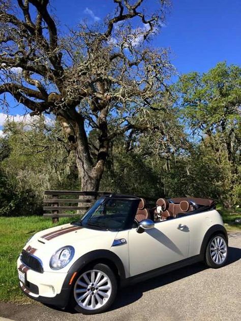 Mini Cooper Convertible Aesthetic, Drop Top Cars, Mini Cooper Aesthetic, Cute Small Cars, Cooper Car, Mini Cooper Convertible, Mini Convertible, First Cars, Girly Car