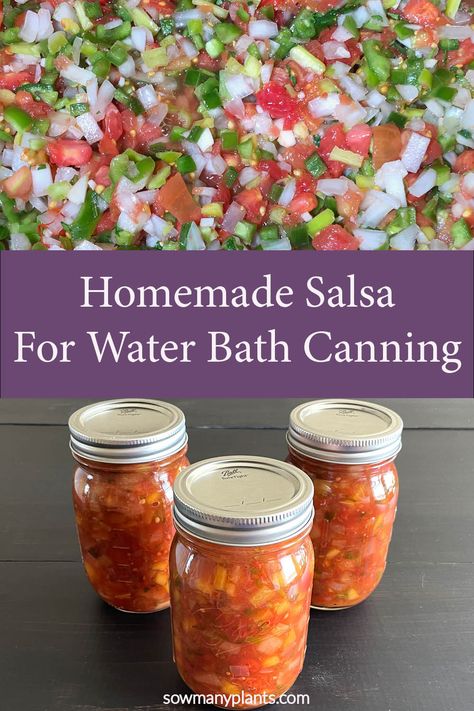 Tomato Canning Recipes Water Bath, Ball Canning Salsa Recipes, Making And Canning Salsa, Hot Water Bath Canning Salsa, Water Bath Salsa Recipe, Water Bath Canning Salsa Recipe, Water Bath Canning For Beginners Recipes, Canning Recipes For Beginners Water Bath, Garden Canning Recipes