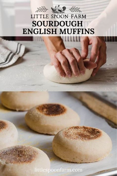 Low Cal Pastries, Overnight Sourdough Recipes, Little Spoon Farm, Sourdough English Muffin Recipe, Sourdough Ideas, English Muffin Recipe, Recipe Using Sourdough Starter, Sourdough English Muffins, Farm Recipes