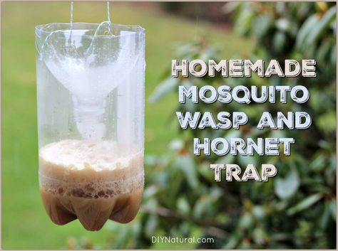 Homemade Wasp Trap, Mosquito Trap Diy, Hornet Trap, Mosquito Traps, Wasp Traps, Bee Traps, Bug Trap, Mosquito Trap, Bug Killer