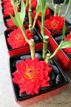 Japanese Centerpiece Ideas on Pinterest | 36 Images on proverbs, diy … Asian Centerpieces, Bamboo Centerpieces, Cny Craft, Diy Flower Projects, Chinese Party, Arreglos Ikebana, Japanese Party, Asian Party, Tet Holiday