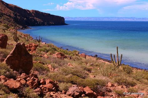 The Sea of Cortez: In the Wake of John Steinbeck Margarita On The Rocks, Sea Of Cortez, John Steinbeck, Turquoise Water, Underwater World, Travel Information, Sandy Beaches, Unesco World Heritage Site, Heritage Site