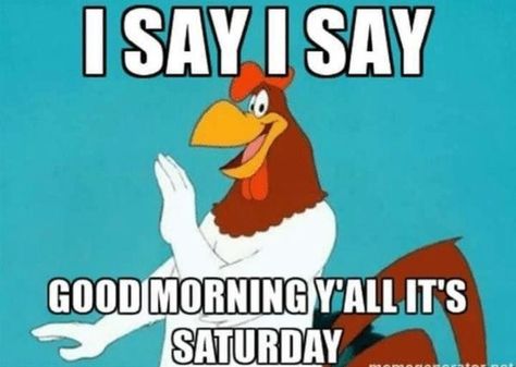 10 Cool & Fun Saturday Quotes And Sayings Foghorn Leghorn Quotes, Cartoon Memories, Saturday Memes, Humour Quotes, Saturday Humor, Funny Good Morning Images, Foghorn Leghorn, Saturday Quotes, Good Morning Saturday