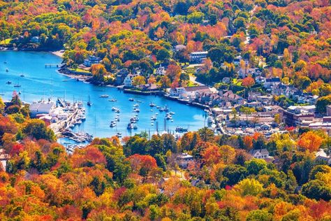 NEW 2024 Guide To 🏠 Best B&Bs And Boutique Hotels In Camden Maine. Where To Stay, What To Do, Where To Eat Maine Road Trip, Best Place To Live, Camden Maine, Popular Places, Fall Camping, Maine Coast, Scenic Byway, Place To Live, Best Places To Live