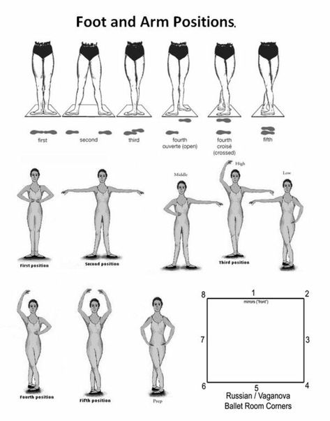 Ballet arm/leg positions Ballet Basics, Ballerina Workout, Ballet Stretches, Ballet Positions, Dance Stretches, Ballet Lessons, Ballet Technique, Ballet Moves, Ballet Workout