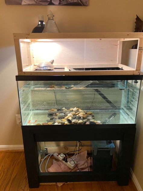 Red Ear Turtle Tank Ideas, Red Eared Slider Turtle Habitat Diy, Red Ear Slider Turtle Tank Ideas, Red Eared Slider Turtle Habitat, Aquatic Turtle Tank Ideas, Red Eared Slider Tank, Turtle Basking Area, Turtle Tub, Turtle Tank Ideas