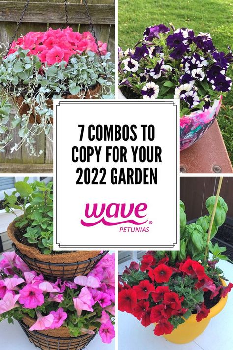 4 flower combos with Wave Petunias Petunia Planter, Wave Petunias, Petunia Flower, Easy Waves, Tiered Planter, Fruit Stand, Pink Plant, Fruit Stands, Diy Planters