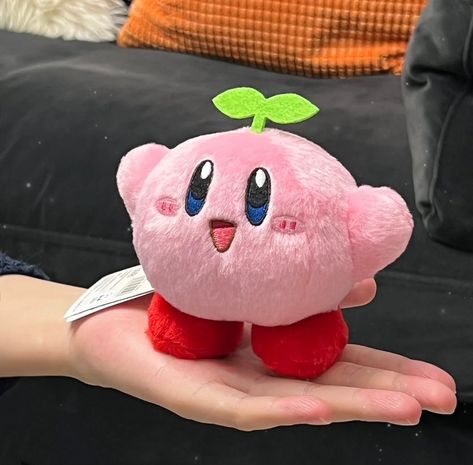 Kirby, Stuffed Animal, So Cute, On Twitter, Twitter, Green, Pink