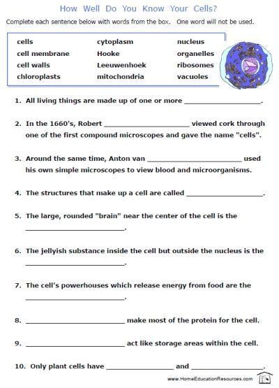 Ecosystem Worksheets, Cells Worksheet, Dictionary Skills, Wristband Template, Biology Worksheet, Word Family Worksheets, Family Worksheet, 7th Grade Science, 8th Grade Science