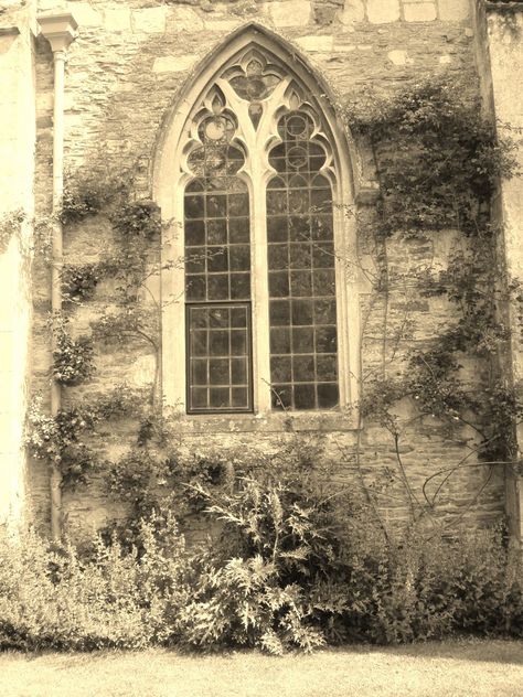 victorian window Victorian Style Windows, Victorian Window, Dorian Grey, Art Booth, Victorian Windows, Drawing Refrences, Art Final, Ghost Images, Antique Windows