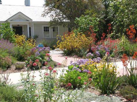 6 lawn-free garden designs for hot climates - Hot Gardens.net Lawn Free Front Yard, Corner Lot Landscaping, California Native Landscape, Lawn Replacement, Replace Lawn, Xeriscape Front Yard, California Native Garden, Rain Gardens, Shade Garden Design