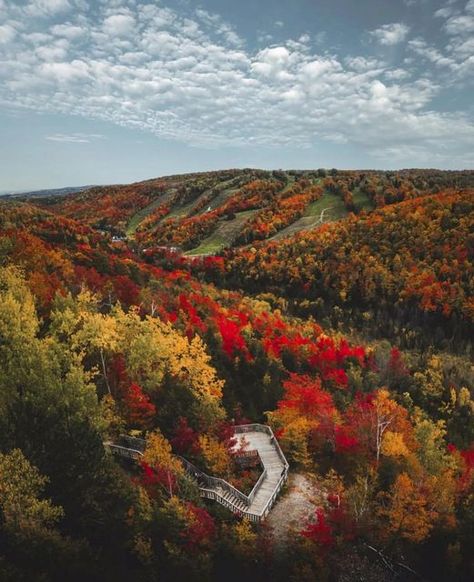 📍Explore Ontario on Instagram: "📍 Devil’s Glen Provincial Park. Just 20 minutes outside Collingwood is Devil’s Glen, situated along the Niagara Escarpment. This beautiful park has the highest location in Southern Ontario at 518m above sea level and features rock outcrops, forested slopes and wetlands, and protects a geologically significant incised river valley. Definitely add this one to your fall hiking list! 📸: @robburnsphotography" Hiking List, Ontario Provincial Parks, Collingwood Ontario, Southern Ontario, Fall Hiking, Beautiful Park, River Valley, Fall Travel, Sea Level