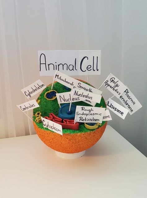 7th grade science project of an animal cell Animal Cell Project Styrofoam, Plant And Animal Cells Project, Animal Cells Project, 3d Animal Cell Project 7th Grade, 3d Animal Cell Project, 3d Cell Project, 7th Grade Science Projects, Edible Cell Project, 3d Animal Cell