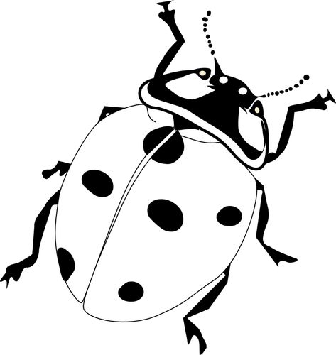 Ladybug Drawing Black And White | Clipart library - Free Clipart Images - Clip Art Library Ladybug Outline, Ladybird Drawing, Bug Clipart, Ladybug Drawing, Library Drawing, White Library, White Ladybug, Ladybug Coloring Page, Ladybug Tattoo