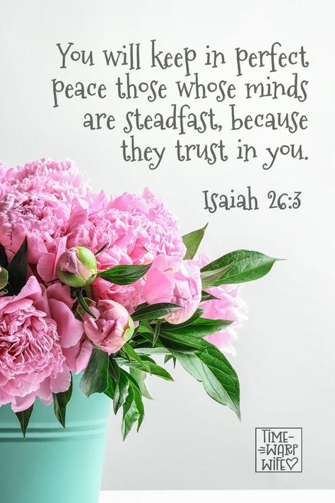 Peace Of God Scriptures, Isaiah Scriptures, King Saul, Psalm 63, God Promises, Miracle Quotes, God Encouragement, Peace Scripture, Isaiah 26