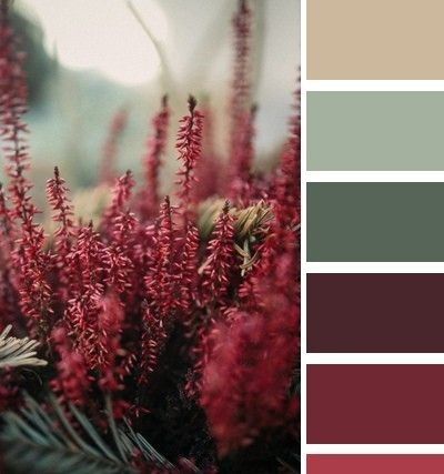 Maroon Color Palette, Burgundy Room, Burgundy Bedroom, Vino Color, Burgundy Color Scheme, Burgundy Colour Palette, Burgundy Living Room, House Color Palettes, Red Color Schemes