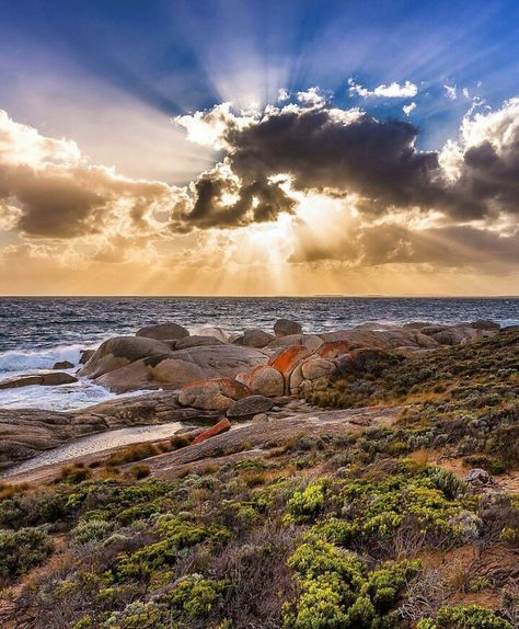 Flinders Island, Tasmania Flinders Island, Tasmania Road Trip, Landscape Images, Picnic Spot, Lake District, Tasmania, Bouldering, Geology, Beautiful Things