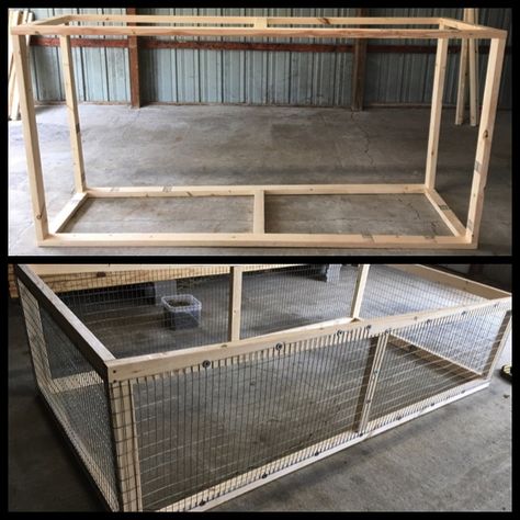 Breeding Chickens Pens, Breeding Pens For Chickens, Grow Out Pens For Chicks, Chicken Cage Ideas Design, Chicken Grow Out Pen, Chicken Breeding Pens Ideas, Chicken Breeding Pens, Poultry Breeding Pens, Chicken Pens