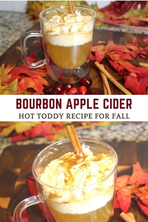 Photo of apple hot toddy cocktail Hot Whiskey Drinks, Apple Hot Toddy, Apple Cider Hot Toddy, Fall Cocktail Recipes, Hot Toddy Cocktail, Bourbon Apple Cider, Hot Toddies Recipe, Mule Recipe, Fall Cocktails Recipes