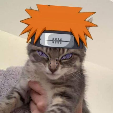 cat meme icon Naruto Halloween Pfp, Akatsuki Pfp, Cat Icon Pfp, Pain Naruto Icon, Obito Pfp, Icon Pfp Discord, Akatsuki Pain, Naruto Pain, Naruto Pfp