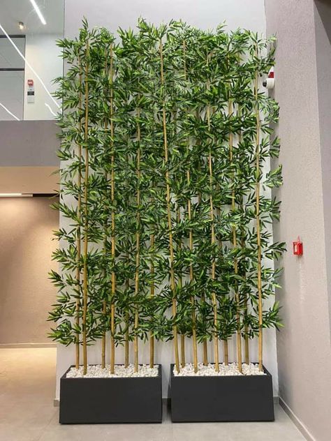 Snake Plant Room Divider, Partition Design With Plants, Room Divider Using Plants, Plants As Room Dividers, Easy Wall Design, Wood Partition With Plants, Room Divider Screen Plants, Bamboo Plant Decor, Outdoor Fence Decor