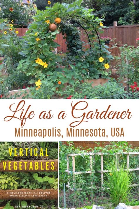 Life as a creative gardener in Minneapolis, MN, with Amy of Get Busy Gardening. #gardening #inspiration Landscaping Border, Patio Layout Design, Minnesota Garden, Gardening Inspiration, Vegetable Garden Planning, Home Vegetable Garden, Creative Gardening, Hydroponic Gardening, Garden Landscape Design