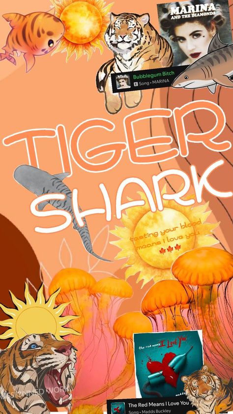 tiger shark Red Meaning, Shark Bait, Tiger Shark, Marina And The Diamonds, Bubble Gum, Anime Art, Songs, Anime, Art