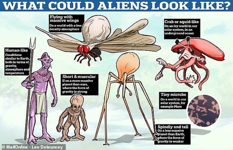 Mystery: If aliens do exist, what might they actually look like? MailOnline asked a number of experts and these were some of their answers Do Aliens Exist, Creature Anatomy, Types Of Aliens, Crazy Creatures, Spec Evo, Speculative Biology, Speculative Evolution, Saturns Moons, Jupiter Moons