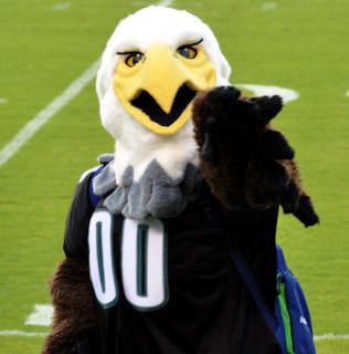 Which NFL team has not beat the Philadelphia Eagles in a regular season game? Philadelphia Eagles Funny, Philadelphia Eagles Baby, Eagles Mascot, Sports Mascot, Philly Eagles, Eagles Team, Eagles Super Bowl, Eagle Mascot, Go Eagles