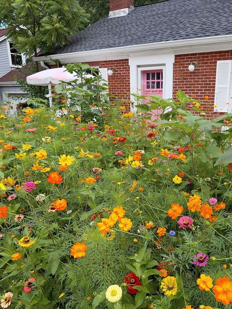 Wildflower Yard Ideas, Wild Flower Front Garden, Front Yard Wildflower Landscaping, Wildflower Front Yard Landscaping, Wildflower Garden Front Yard, Wildflower Front Yard, Nashville Landscaping, Wildflower Yard, Mud Puddle