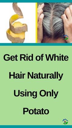 Can you believe that potatoes have a practical effect on white hair? It’s true! Potato is actually an effective solution for combating gray hair if used regularly. In this article, we’ll show you how to prepare and apply potatoes to fight premature graying. I- What you Will Need : – The peels of 5 potatoes. […] White Hair Solution, Potato For Skin, Remedy For White Hair, Diy Facial Hair Removal, Grey Hair Remedies, Food For Kidney Health, Boil Lemons, Black Hair Updo, Reverse Gray Hair